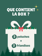 Inooko Box pour chien de noël