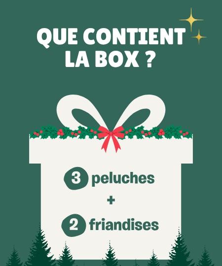 Inooko Box pour chien de noël