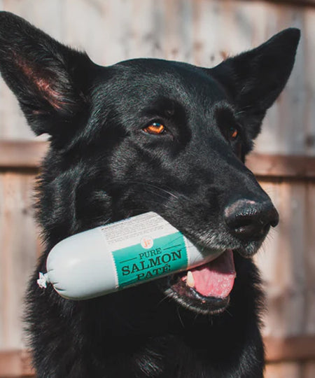 JR-pet-products-pure-patee-pour-chien-saumon