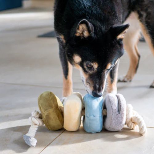 DIY : fabriquer des jouets d'enrichissement pour son chien