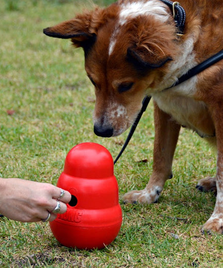     Jouet-KONG-Wobbler-jouet-distributeur-friandises-pour-chien