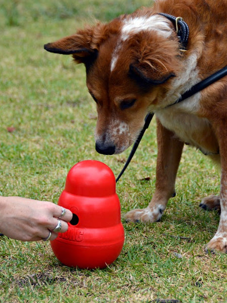     Jouet-KONG-Wobbler-jouet-distributeur-friandises-pour-chien