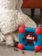     Jouet-distributeur-friandises-croquette-KONG-rewards-tinker-pour-chien