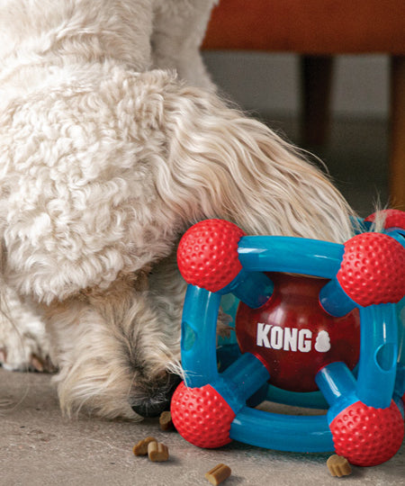     Jouet-distributeur-friandises-croquette-KONG-rewards-tinker-pour-chien