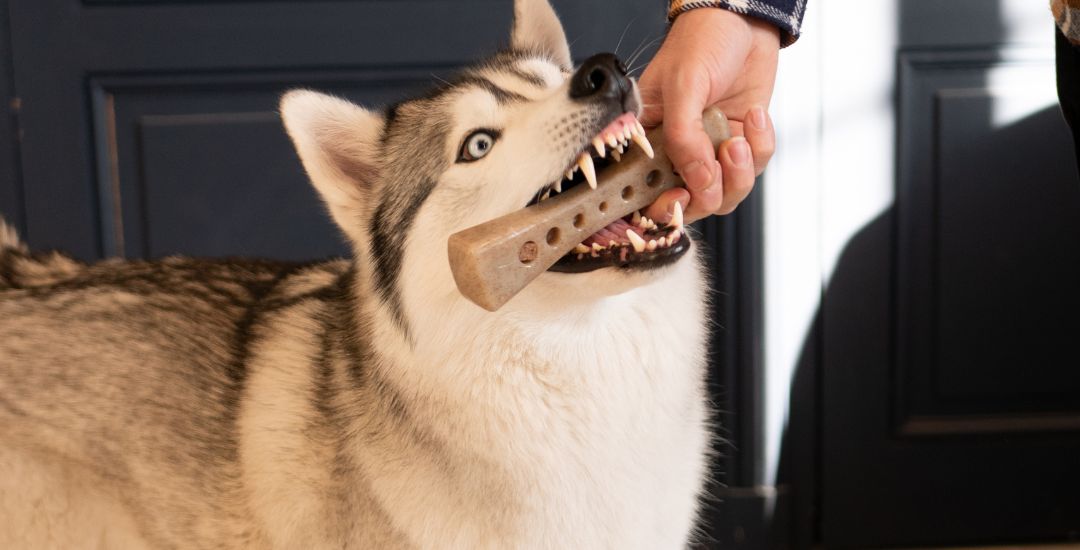 Jouet à Mâcher Indestructible Pour Chien - En Nylon Résistant - Saveur Bœuf - Nettoie Les Dents Et Occupe Les Mâcheurs Agressifs - 2
