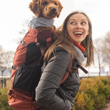       K9-Sport-Sack-Knavigate-sac-a-dos-transport-chien-dune