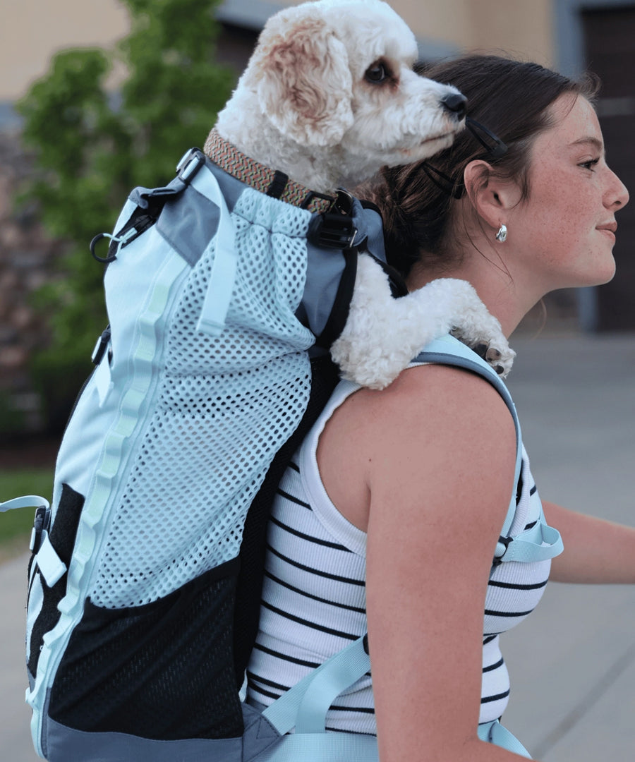 K9-Sport-Sack-pour-chien-Kompanion-bleu