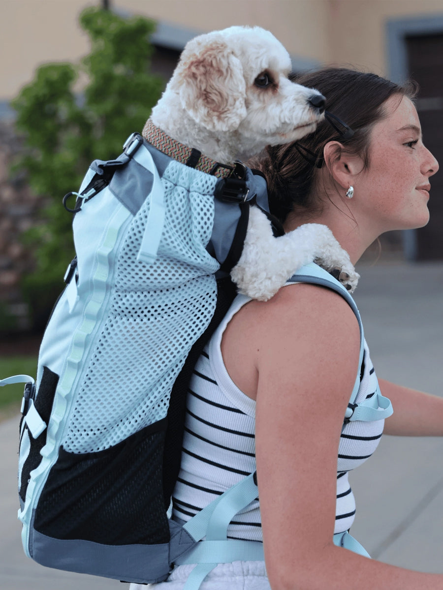 K9-Sport-Sack-pour-chien-Kompanion-bleu