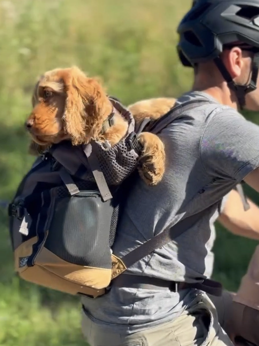 K9-Sport-Sack-pour-chien-Kompanion-gris