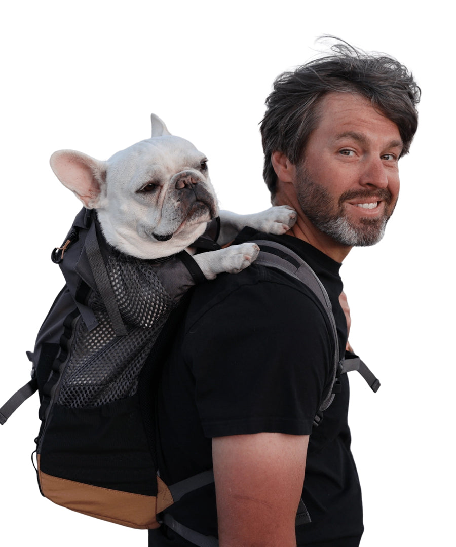 K9-Sport-Sack-pour-chien-Kompanion-noir