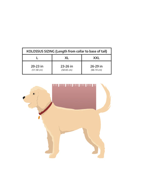    K9-Sport-Sack-pour-grand-chien-guide-taille-Kolossus