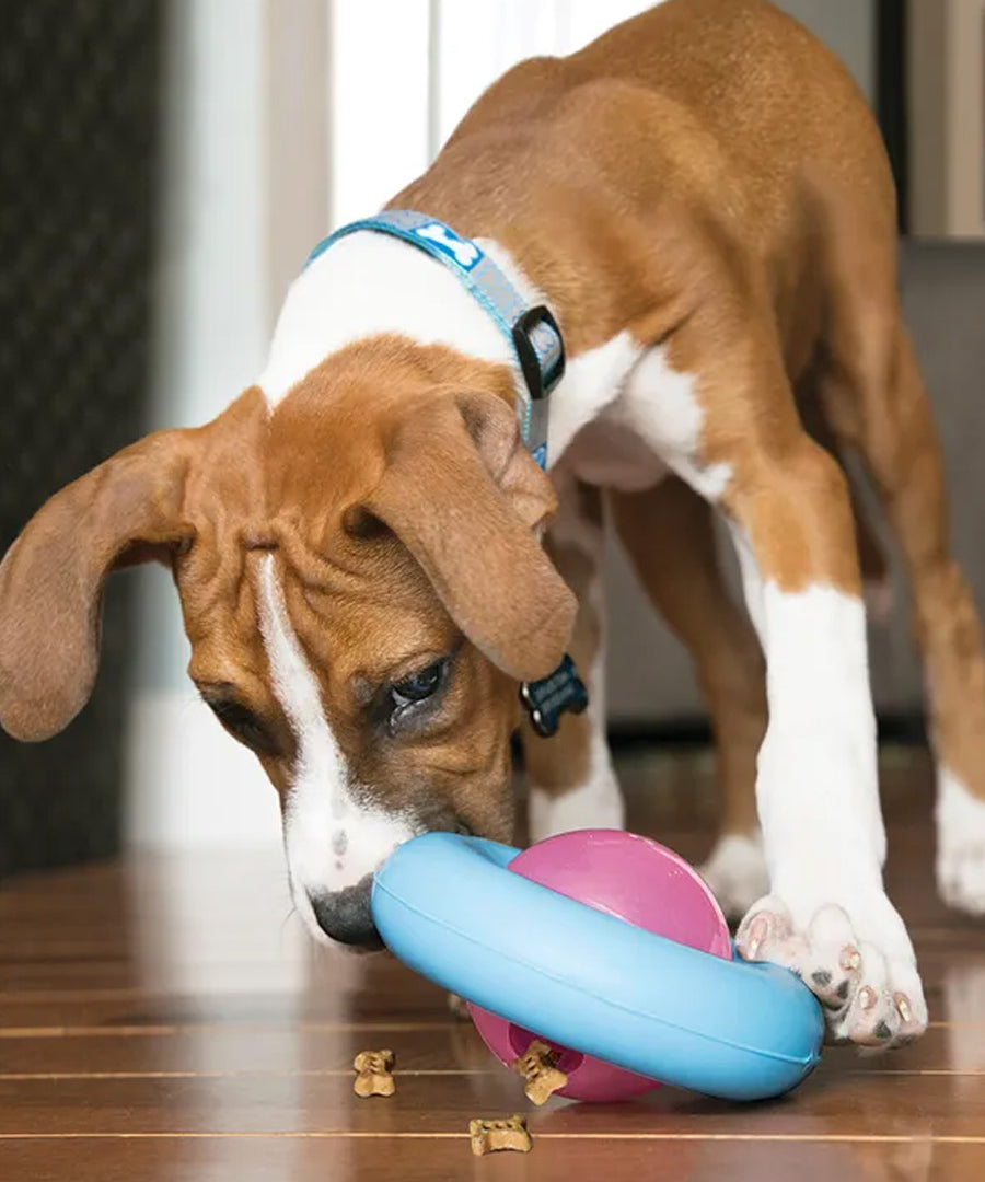 KONG-Jouet-distributeur-de-friandises-pour-chiot-KONG-Gyro