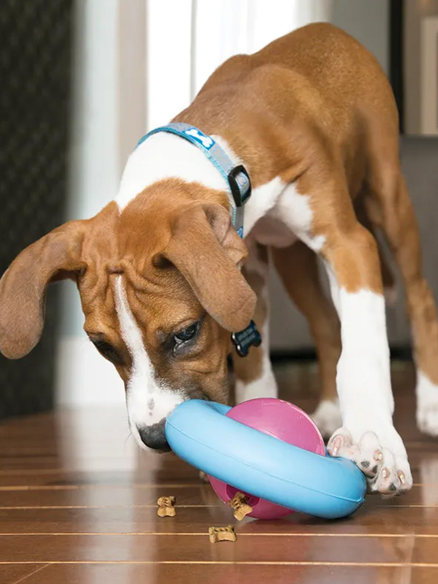 KONG-Jouet-distributeur-de-friandises-pour-chiot-KONG-Gyro