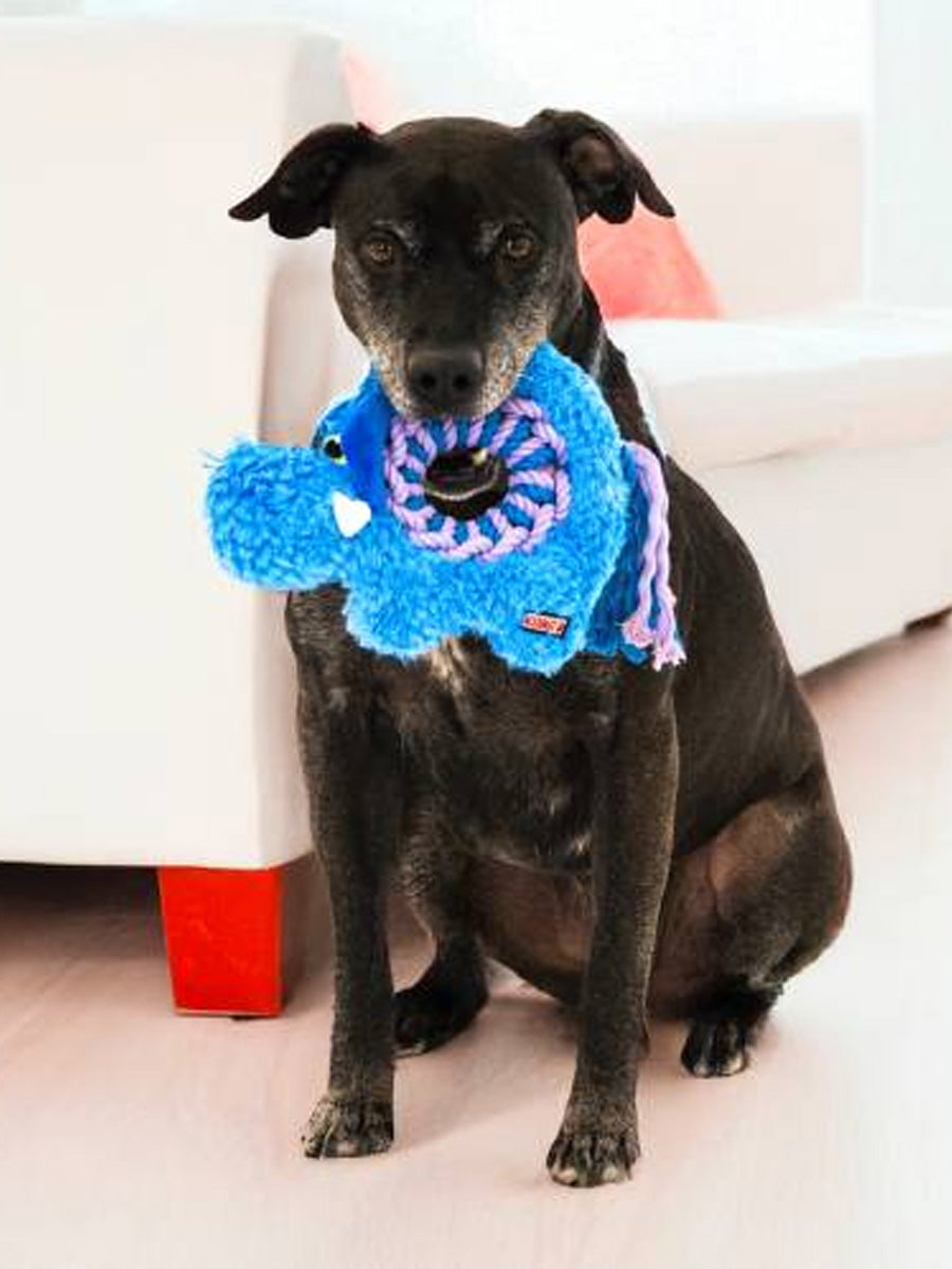 KONG-Jouet-peluche-pour-chien-Ringaroos-elephant-bleu