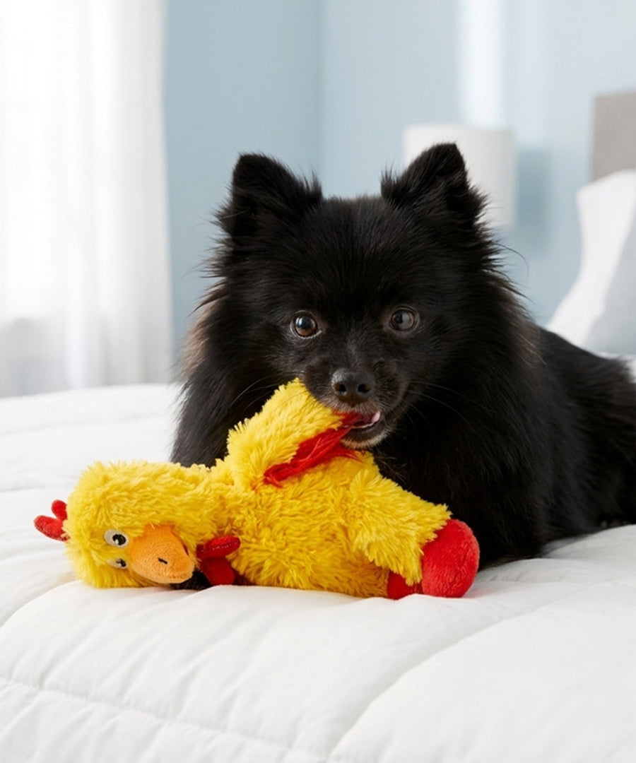 KONG-Jouet-peluche-pour-chien-kong-knot-Poulet-s