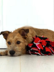 Kaboo-tapis-de-fouille-enrichissement-chien-balle-s-rouge