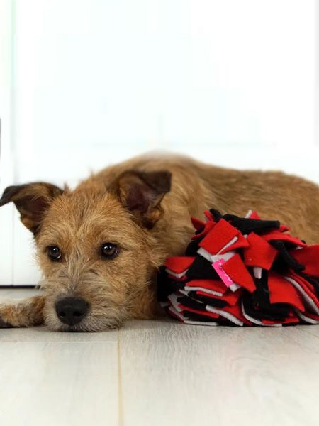 Kaboo-tapis-de-fouille-enrichissement-chien-balle-s-rouge