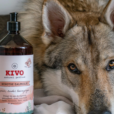 Kivo-natural-pet-food-huile-de-saumon-pour-chien