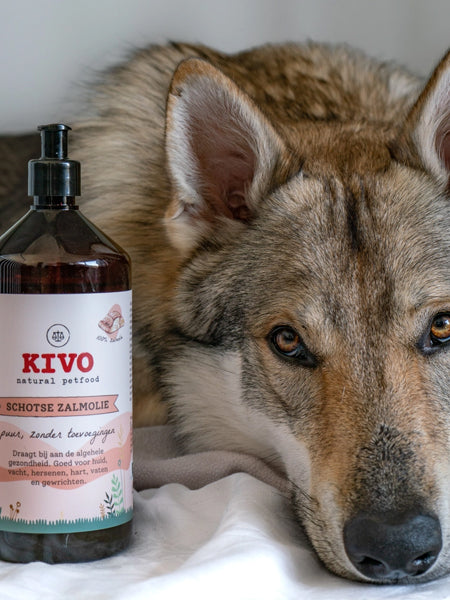 Kivo-natural-pet-food-huile-de-saumon-pour-chien