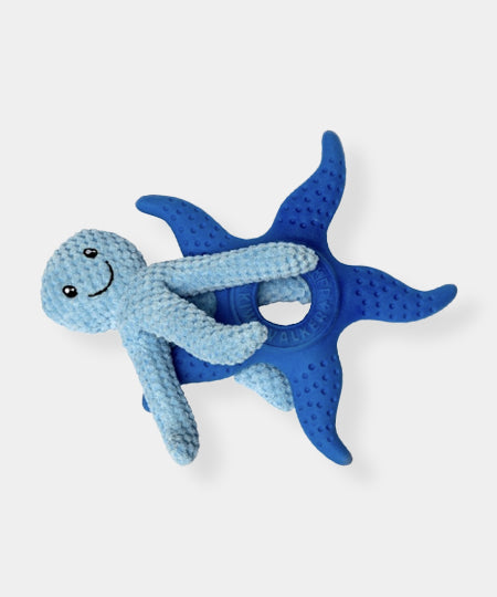 Kiwi-walker-Jouet-2-en-1-pour-chien-octopus-starfish-bleu