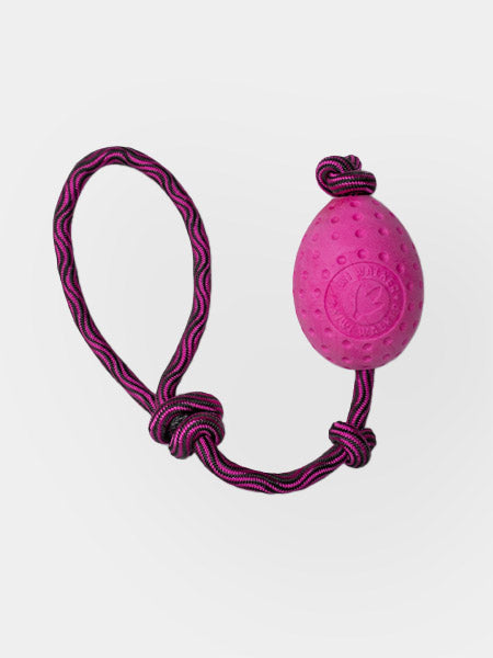 Kiwi-walker-Jouet-en-corde-balle-pour-chien-egg-rose