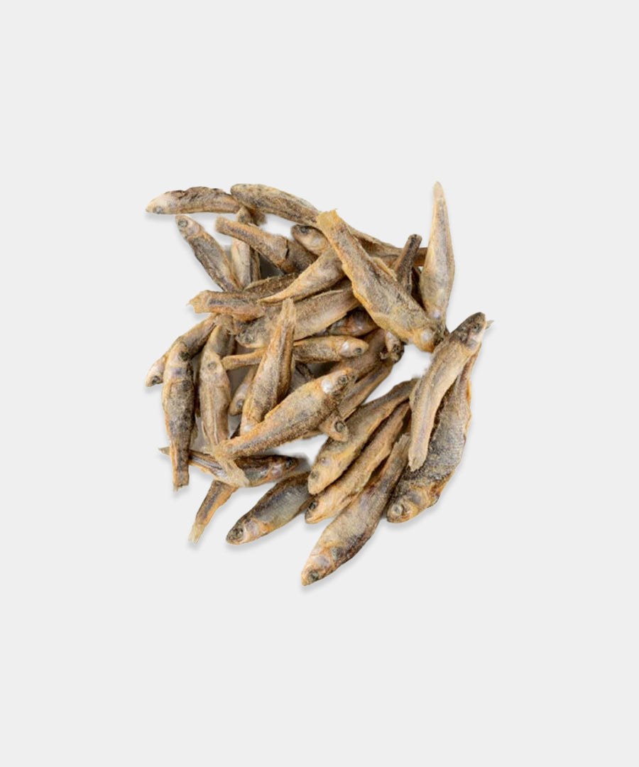 Kiwi-walker-friandises-naturelles-chien-chat-poisson-entier