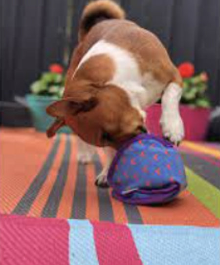       Kong-ballistic-jouet-fouille-distributeur-friandises-pour-chien-chiot-hide-_n-treat