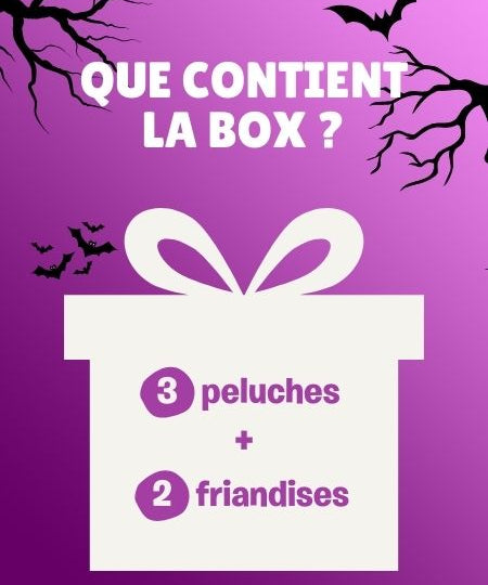 La Box Mystère pour chien - Édition Halloween