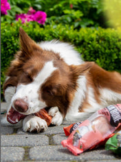 Laika-bone-friandises-a-macher-naturelles-pour-chien-beurre-cacahuete-fromage