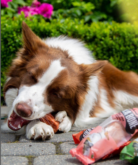 Laika-bone-friandises-a-macher-naturelles-pour-chien-beurre-cacahuete-fromage