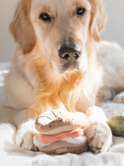 Lambwolf-Collective-jouet-design-minimalist-pour-chien-Bagel-Cornichon