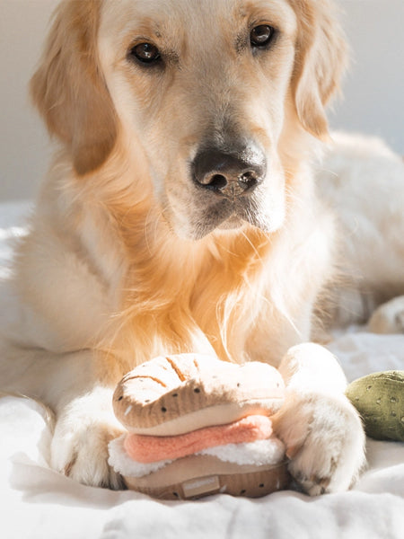 Lambwolf-Collective-jouet-design-minimalist-pour-chien-Bagel-Cornichon