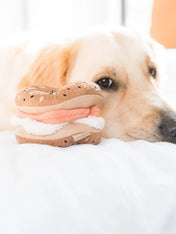 Lambwolf-Collective-jouet-design-minimalist-pour-chien-Bagel-Cornichon