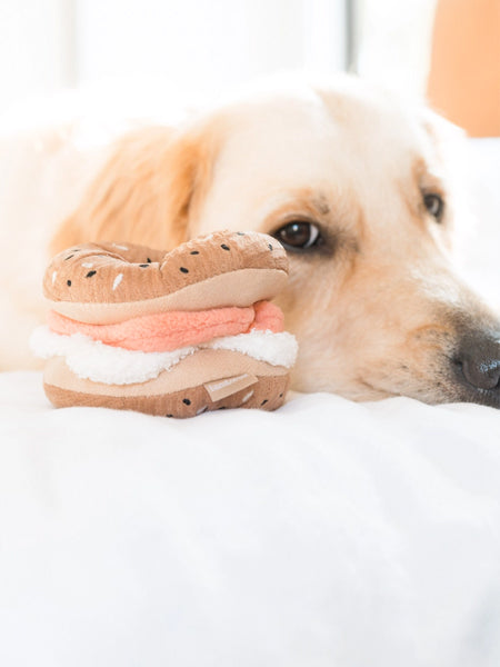 Lambwolf-Collective-jouet-design-minimalist-pour-chien-Bagel-Cornichon