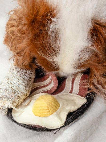 Lambwolf-Collective-jouet-design-minimalist-pour-chien-breakfast