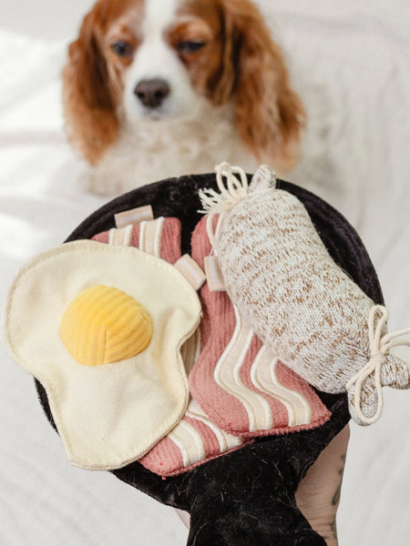 Lambwolf-Collective-jouet-design-minimalist-pour-chien-breakfast