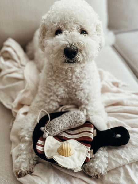 Lambwolf-Collective-jouet-design-minimalist-pour-chien-breakfast