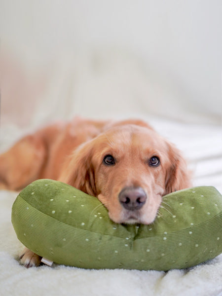 Lambwolf-Collective-jouet-design-minimalist-pour-chien-cornichon-geant