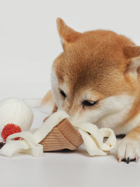     Lambwolf-Collective-jouet-design-minimalist-pour-chien-fouille-ice-cream-pop