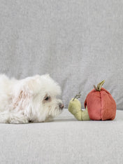       Lambwolf-Collective-jouet-design-minimalist-pour-chien-pomme-vers