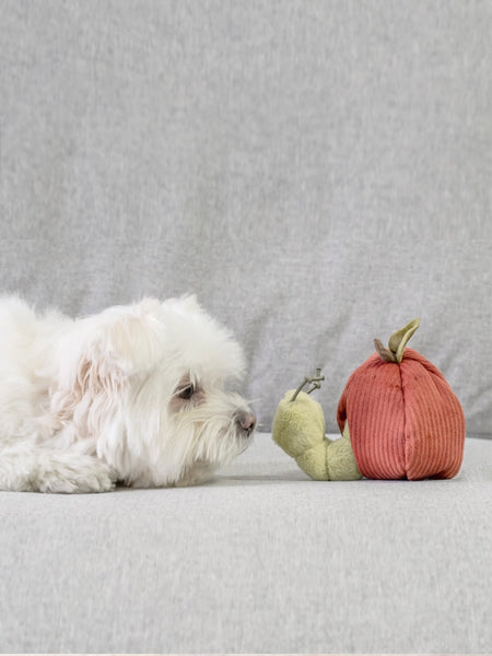       Lambwolf-Collective-jouet-design-minimalist-pour-chien-pomme-vers