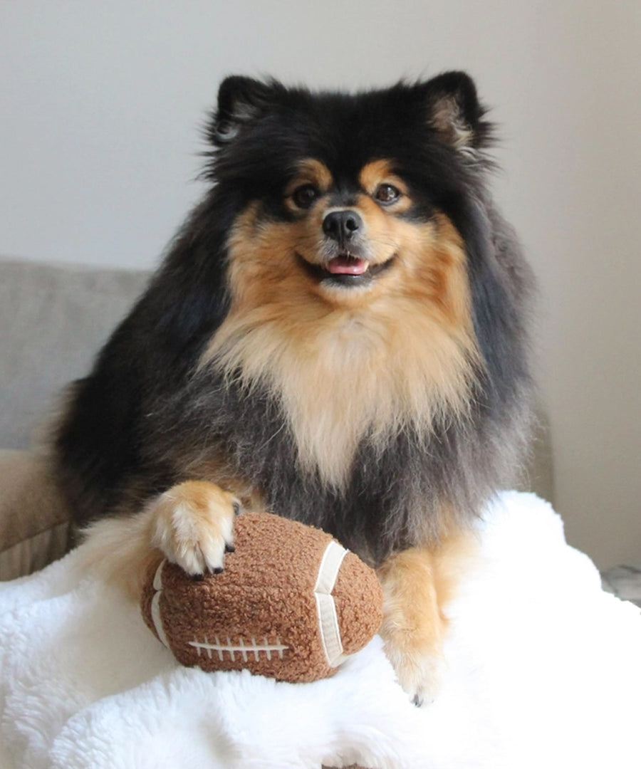 Lambwolf-Collective-peluche-chien-interactive-design-Football
