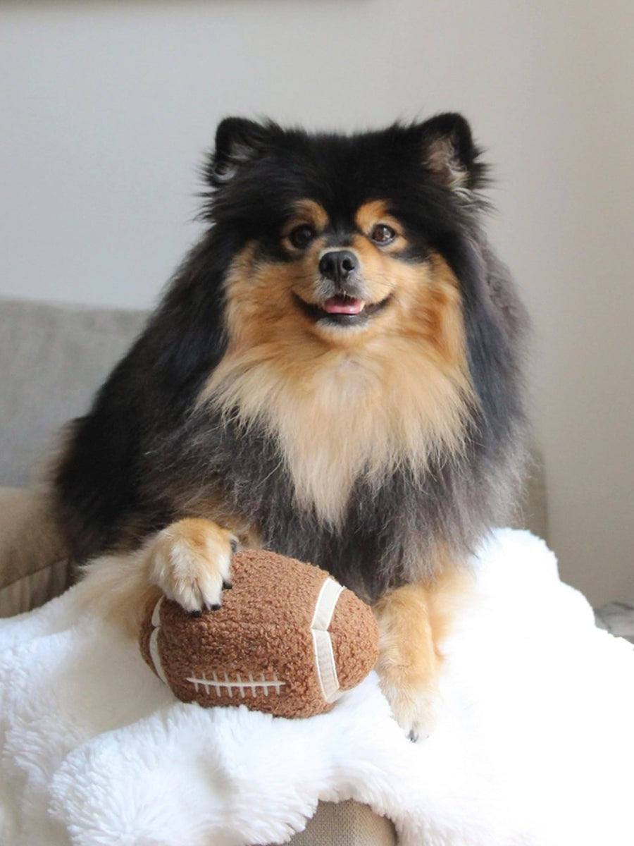 Lambwolf-Collective-peluche-chien-interactive-design-Football
