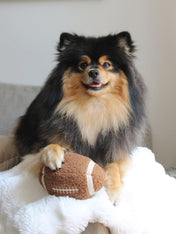 Lambwolf-Collective-peluche-chien-interactive-design-Football