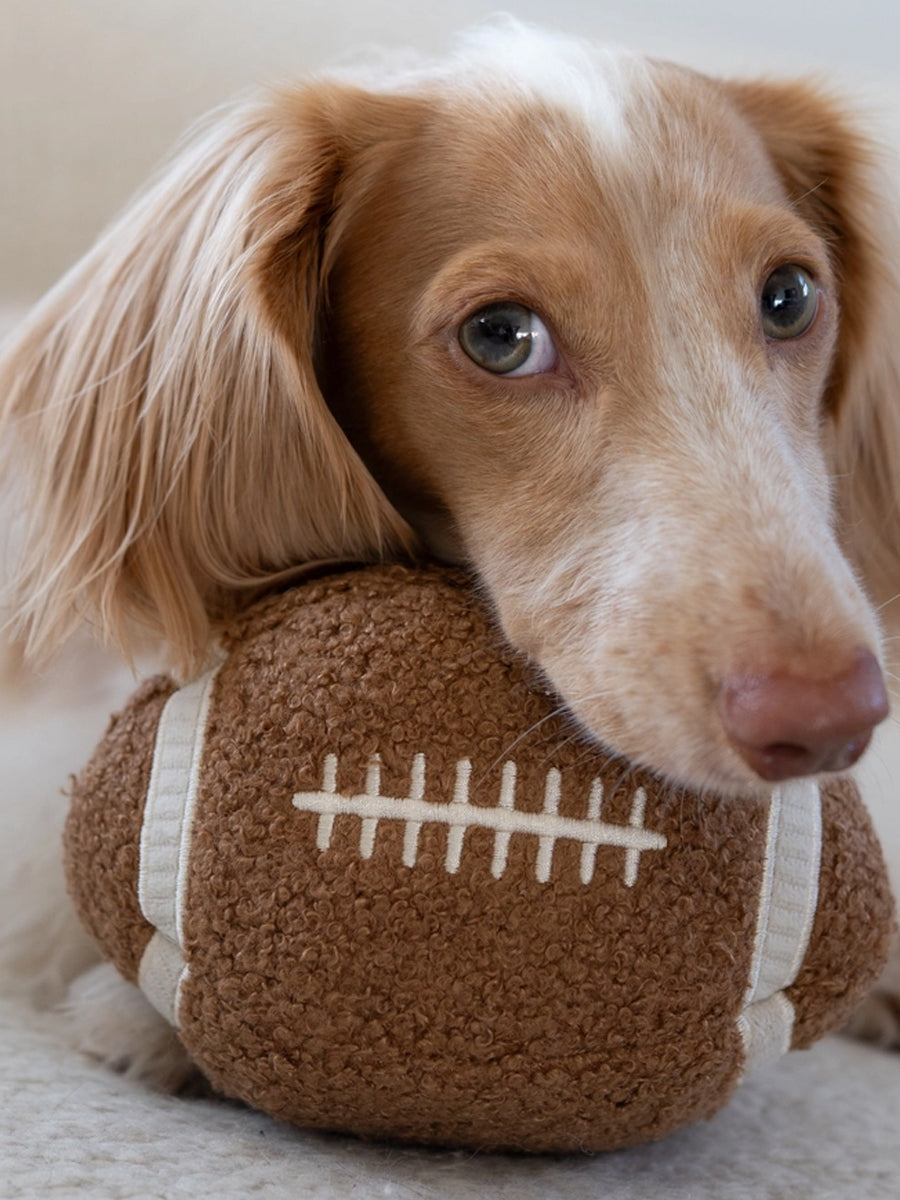 Lambwolf-Collective-peluche-chien-interactive-design-Football