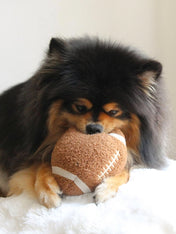 Lambwolf-Collective-peluche-chien-interactive-design-Football