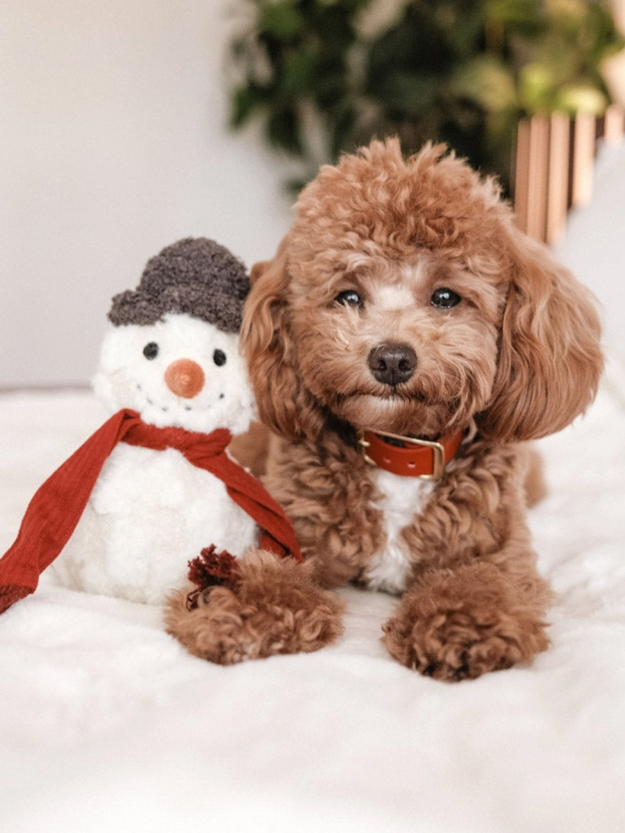 Lambwolf-Collective-peluche-chien-interactive-design-bonhomme-de-neige