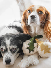 Lambwolf-Collective-peluche-chien-interactive-design-boule-de-noel