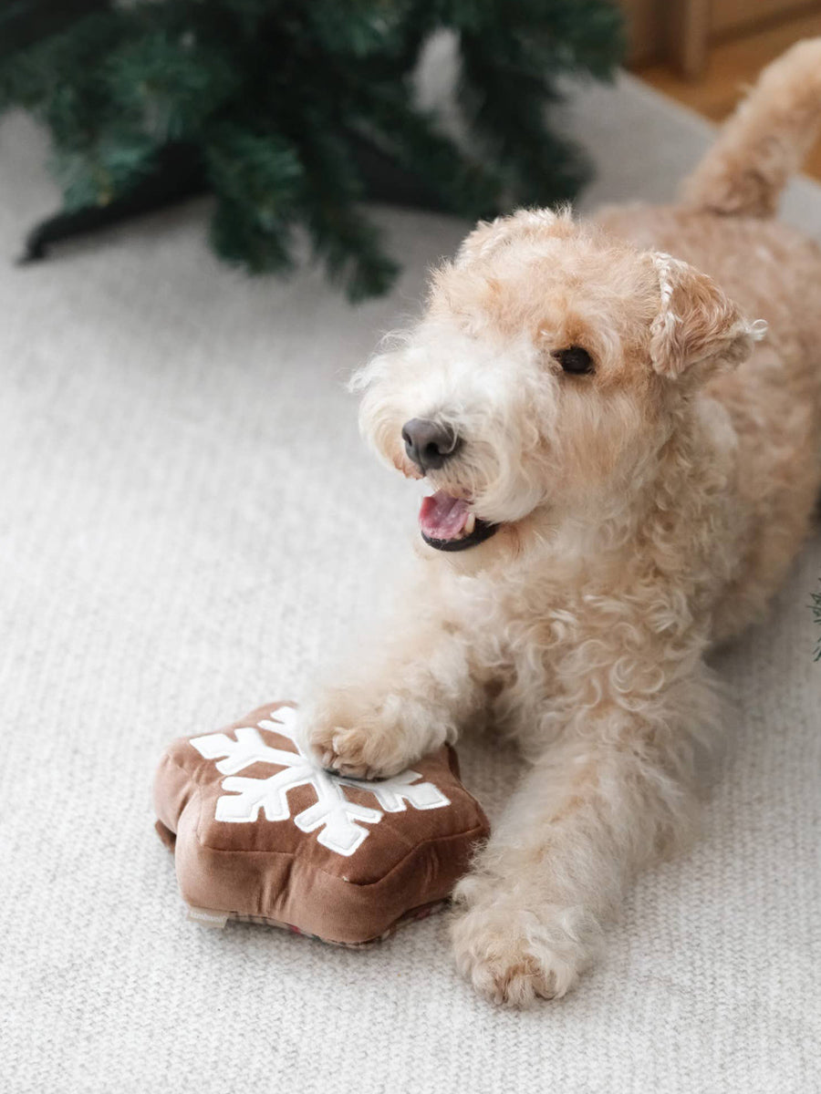 Lambwolf-Collective-peluche-chien-interactive-design-cookie-de-noel