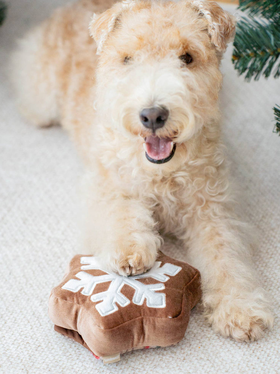 Lambwolf-Collective-peluche-chien-interactive-design-cookie-de-noel
